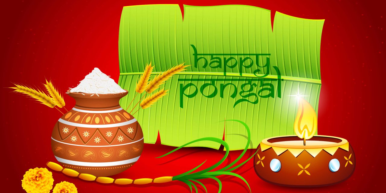 Happy Pongal Festival 2018 Wishes | Bhogi, Maattu Pongal, Jallikattu ...