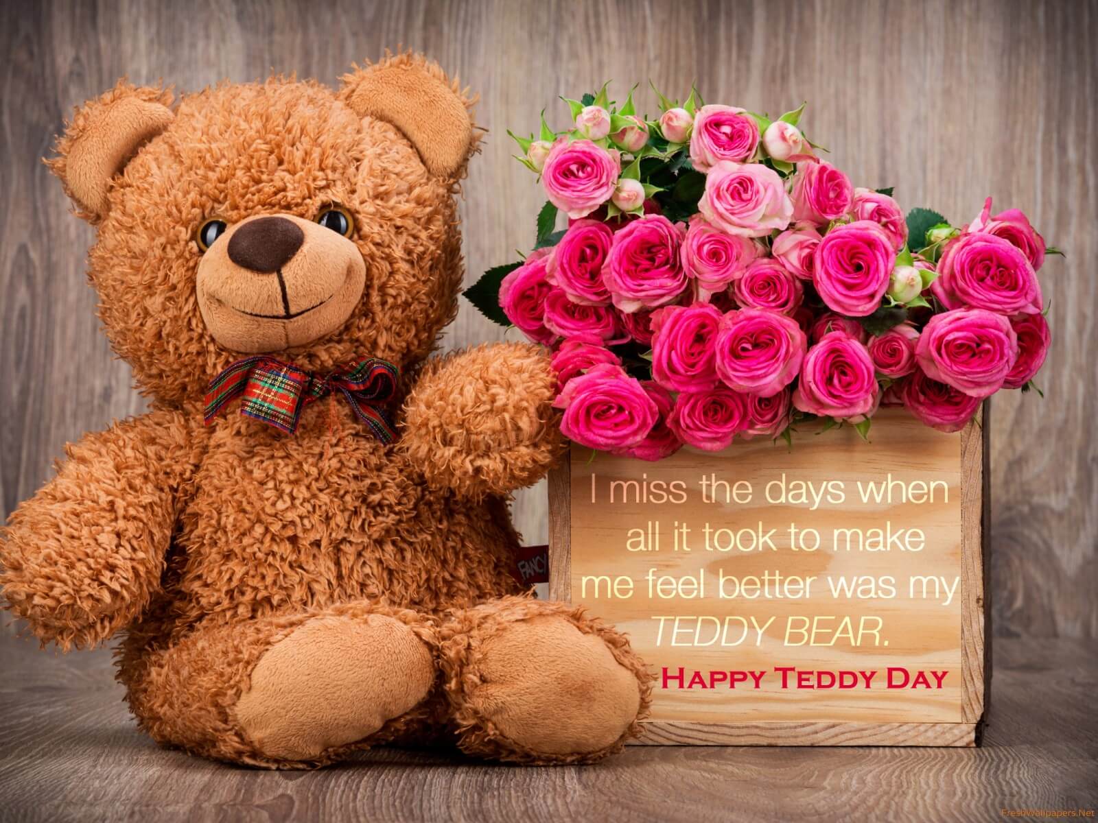 teddy day 2018