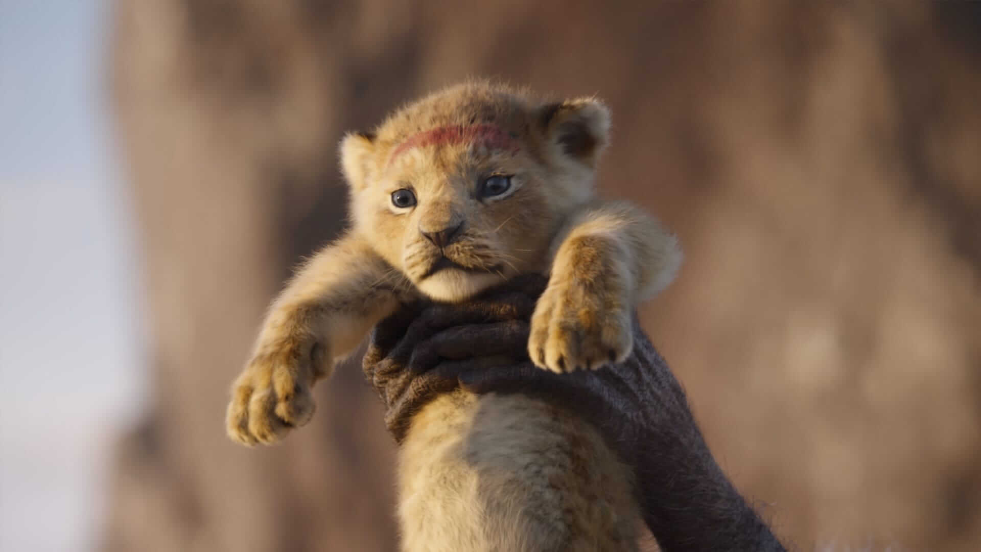 Lion King Movie Hd Wallpaper Hd Blast