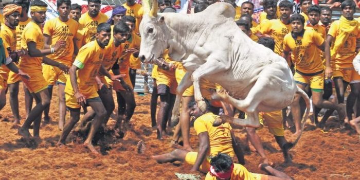 tamil-nadu-traditional-sports-10-popular-games-you-probably-didn-t