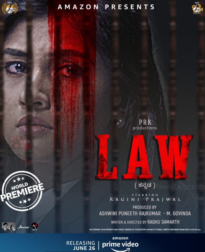 Law Movie Amazon Prime